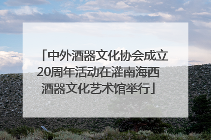 中外酒器文化协会成立20周年活动在灌南海西酒器文化艺术馆举行