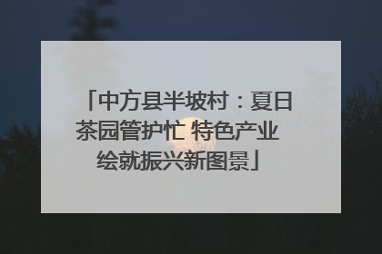 中方县半坡村：夏日茶园管护忙 特色产业绘就振兴新图景