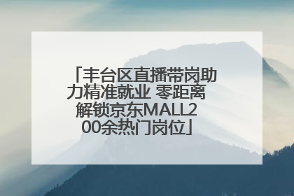 丰台区直播带岗助力精准就业 零距离解锁京东MALL200余热门岗位