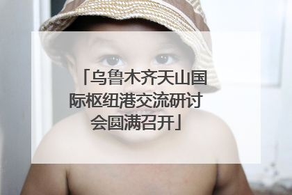 乌鲁木齐天山国际枢纽港交流研讨会圆满召开