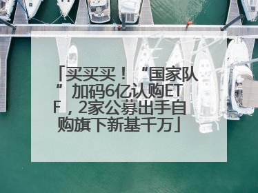 买买买！“国家队”加码6亿认购ETF，2家公募出手自购旗下新基千万
