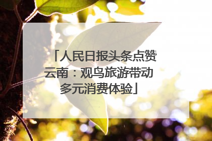 人民日报头条点赞云南：观鸟旅游带动多元消费体验