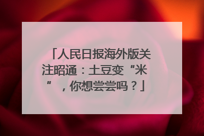 人民日报海外版关注昭通：土豆变“米”，你想尝尝吗？