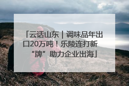 云话山东｜调味品年出口20万吨！乐陵连打新“牌”助力企业出海