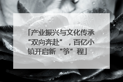产业振兴与文化传承“双向奔赴”，百亿小镇开启新“筝”程