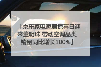 京东家电家居惊喜日迎来董明珠 带动空调品类销量同比增长100%