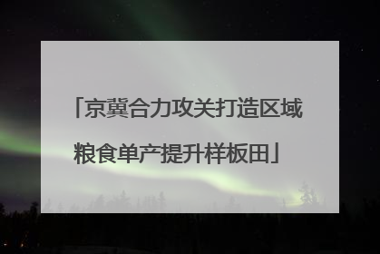 京冀合力攻关打造区域粮食单产提升样板田