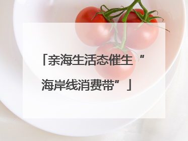 亲海生活态催生“海岸线消费带”