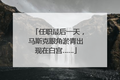 任职最后一天，马斯克眼角淤青出现在白宫……