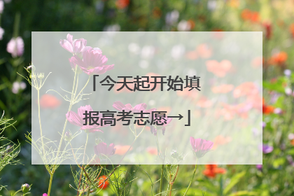 今天起开始填报高考志愿→