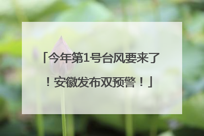 今年第1号台风要来了！安徽发布双预警！