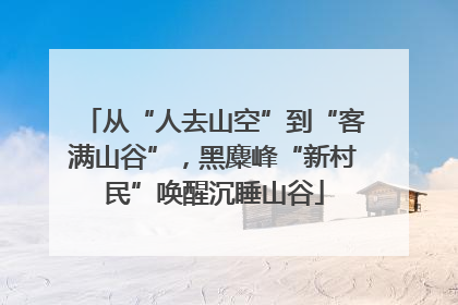 从“人去山空”到“客满山谷”，黑麋峰“新村民”唤醒沉睡山谷