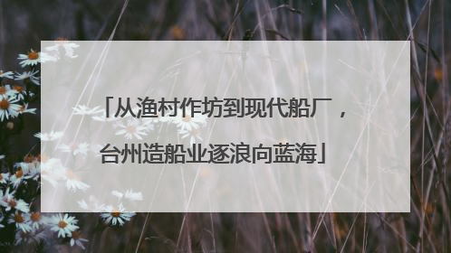 从渔村作坊到现代船厂，台州造船业逐浪向蓝海
