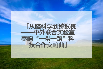 从脑科学到猕猴桃——中外联合实验室奏响“一带一路”科技合作交响曲