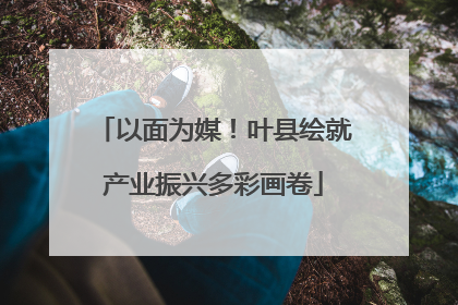 以面为媒！叶县绘就产业振兴多彩画卷