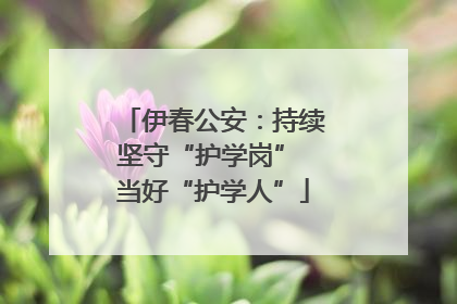 伊春公安：持续坚守“护学岗” 当好“护学人”