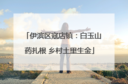 伊滨区寇店镇：白玉山药扎根 乡村土里生金