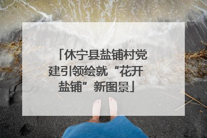 休宁县盐铺村党建引领绘就“花开盐铺”新图景