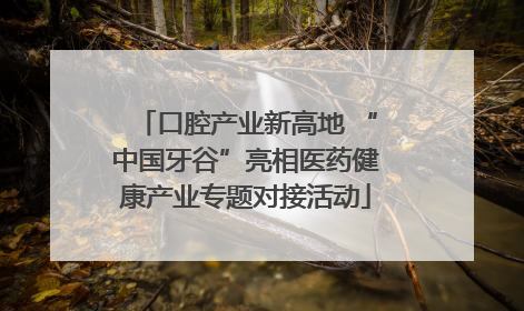 口腔产业新高地 “中国牙谷”亮相医药健康产业专题对接活动