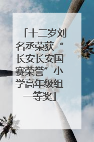 十二岁刘名丞荣获“长安长安国赛荣誉”小学高年级组一等奖
