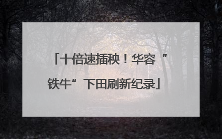 十倍速插秧！华容“铁牛”下田刷新纪录