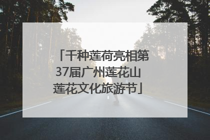 千种莲荷亮相第37届广州莲花山莲花文化旅游节