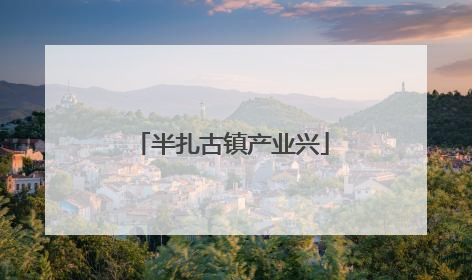 半扎古镇产业兴