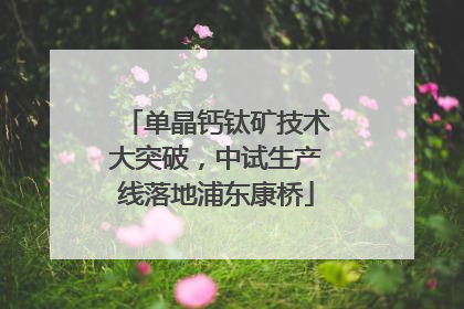 单晶钙钛矿技术大突破，中试生产线落地浦东康桥