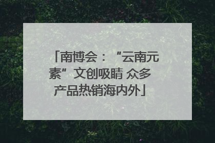 南博会：“云南元素”文创吸睛 众多产品热销海内外