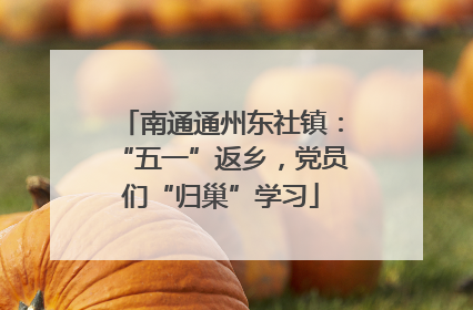 南通通州东社镇：“五一”返乡，党员们“归巢”学习