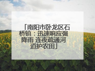 南阳市卧龙区石桥镇：迅速响应强降雨 连夜疏通河道护农田