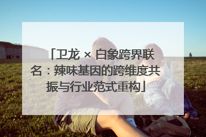 卫龙 × 白象跨界联名：辣味基因的跨维度共振与行业范式重构