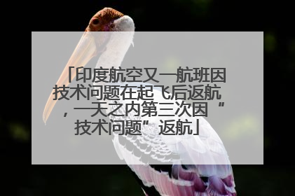 印度航空又一航班因技术问题在起飞后返航，一天之内第三次因“技术问题”返航