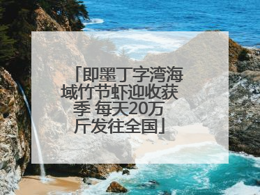 即墨丁字湾海域竹节虾迎收获季 每天20万斤发往全国