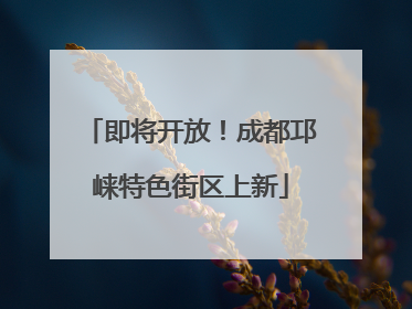 即将开放！成都邛崃特色街区上新