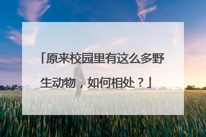 原来校园里有这么多野生动物，如何相处？