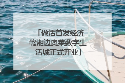 做活首发经济 赣湘边奥莱数字生活城正式开业