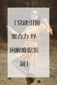 党建引领聚合力 纾困解难促发展