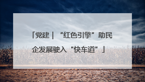 党建｜“红色引擎”助民企发展驶入“快车道”