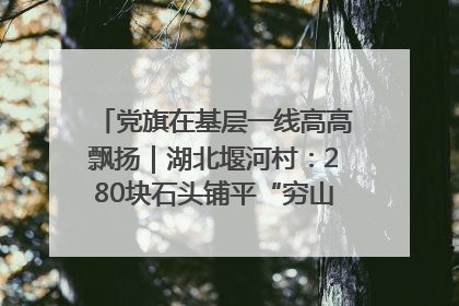 党旗在基层一线高高飘扬｜湖北堰河村：280块石头铺平“穷山沟”的致富振兴路