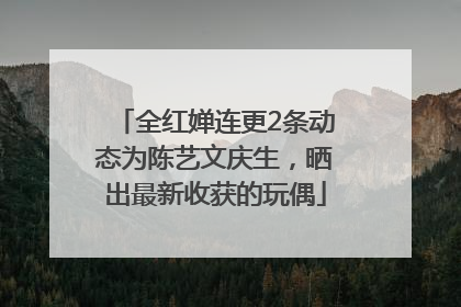 全红婵连更2条动态为陈艺文庆生，晒出最新收获的玩偶