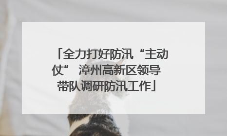 全力打好防汛“主动仗” 漳州高新区领导带队调研防汛工作