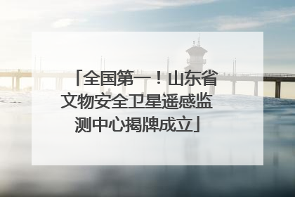 全国第一！山东省文物安全卫星遥感监测中心揭牌成立