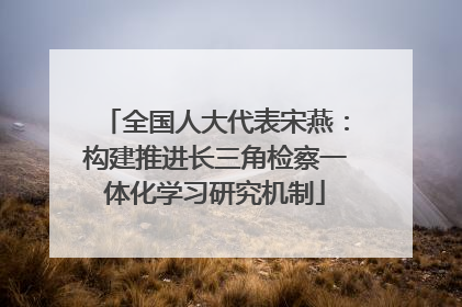 全国人大代表宋燕：构建推进长三角检察一体化学习研究机制
