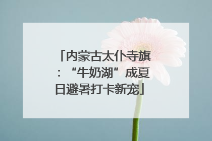 内蒙古太仆寺旗：“牛奶湖”成夏日避暑打卡新宠