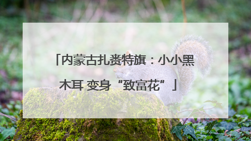内蒙古扎赉特旗：小小黑木耳 变身“致富花”