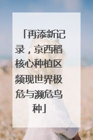 再添新记录，京西稻核心种植区频现世界极危与濒危鸟种