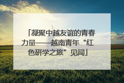 凝聚中越友谊的青春力量——越南青年“红色研学之旅”见闻