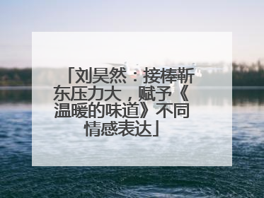 刘昊然：接棒靳东压力大，赋予《温暖的味道》不同情感表达