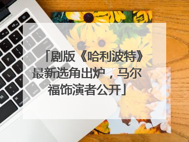 剧版《哈利波特》最新选角出炉，马尔福饰演者公开